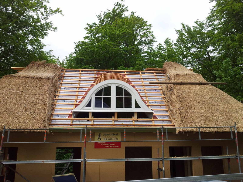 Gaubeneinbau Reetdach